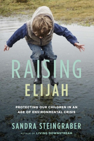 Cover image: Raising Elijah 9780306819780