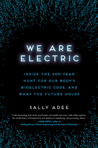 Cover image: We Are Electric 9780306826627