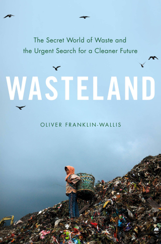 Cover image: Wasteland 9780306827112