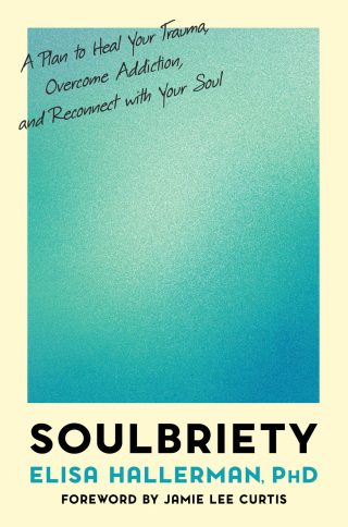 Cover image: Soulbriety 9780306827723