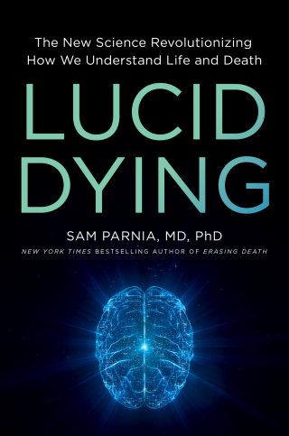 Cover image: Lucid Dying 9780306831287