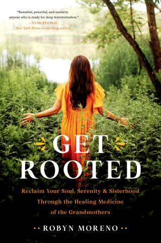 Cover image: Get Rooted 9780306926273