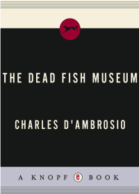 Cover image: The Dead Fish Museum 9781400042869
