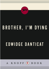 Cover image: Brother, I'm Dying 9781400041152