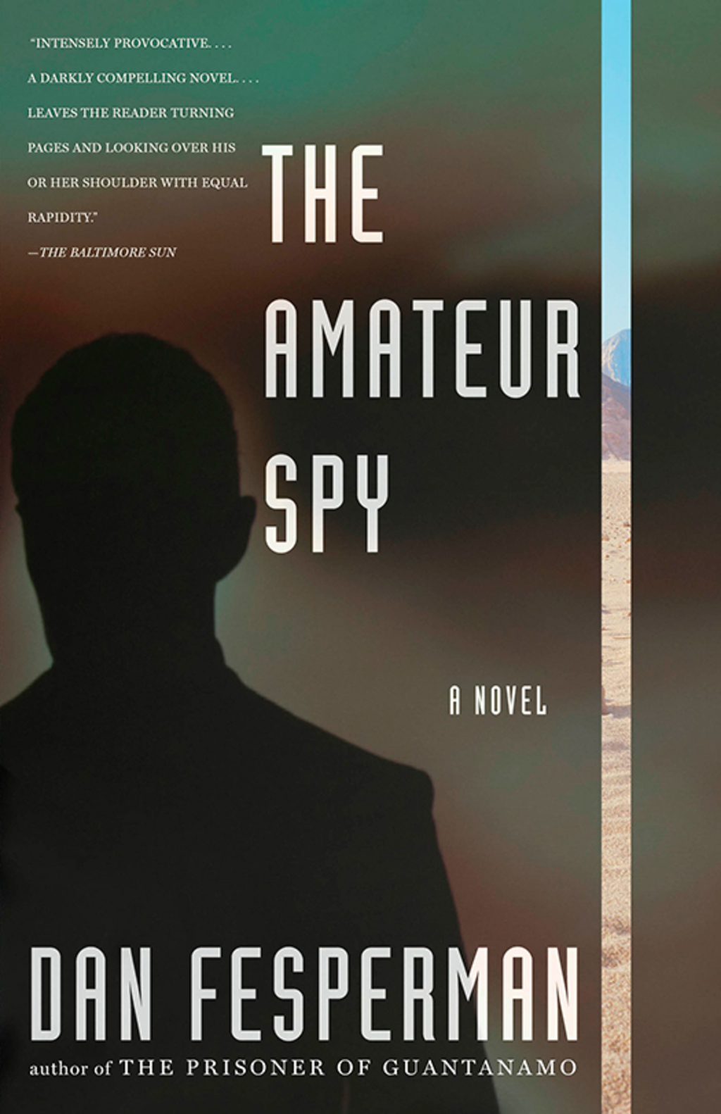 The Amateur Spy eBook