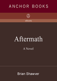 Cover image: Aftermath 9781400079872