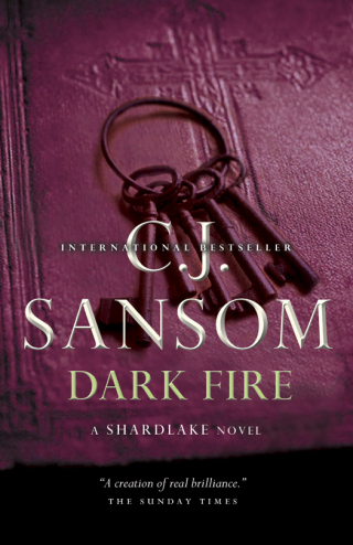 Cover image: Dark Fire 9780307362384