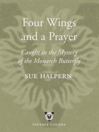 Cover image: Four Wings and a Prayer 9780676973952