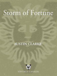 Cover image: Storm of Fortune 9780676971613