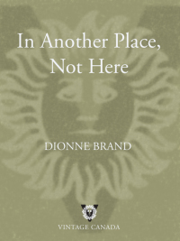 Cover image: In Another Place, Not Here 9780394281797