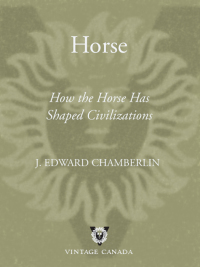 Cover image: Horse 9780676978698