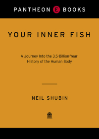 Cover image: Your Inner Fish 9780307277459