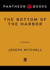 Cover image: The Bottom of the Harbor 9780375714863