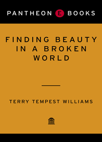 Cover image: Finding Beauty in a Broken World 9780375420788