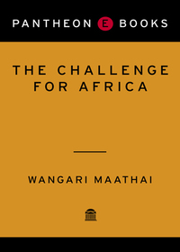 Cover image: The Challenge for Africa 9780307377401