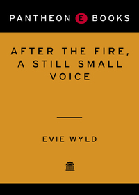 Cover image: After the Fire, a Still Small Voice 9780307378460