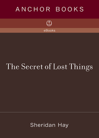 Cover image: The Secret of Lost Things 9780307277336