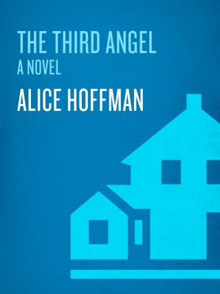 Cover image: The Third Angel 9780307393852