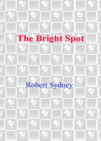 Cover image: The Bright Spot 9780553587593