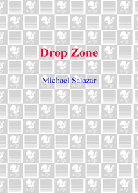 Cover image: Drop Zone 9780553581331