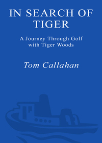 Cover image: In Search of Tiger 9781400051403