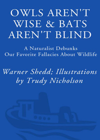 Cover image: Owls Aren't Wise & Bats Aren't Blind 9780609807972