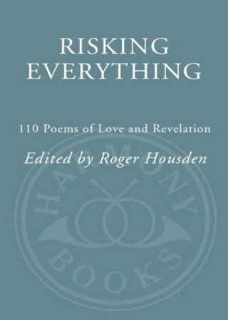 Cover image: Risking Everything 9781400047994