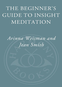 Cover image: The Beginner's Guide to Insight Meditation 9780609806470