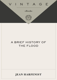 Cover image: A Brief History of the Flood 9780375713354