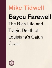 Cover image: Bayou Farewell 9780375725173