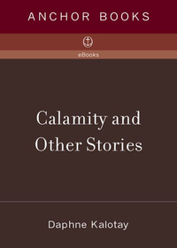 Cover image: Calamity and Other Stories 9781400078486