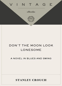 Cover image: Don't the Moon Look Lonesome 9780375724473