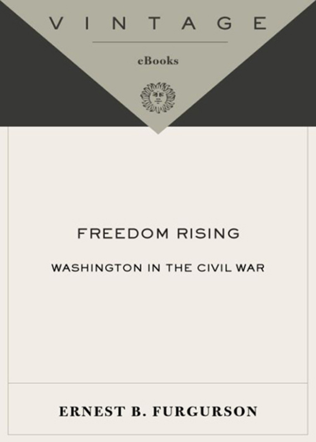Freedom Rising Washington in the Civil War