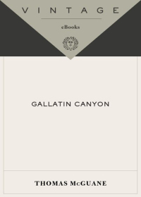 Cover image: Gallatin Canyon 9781400041565