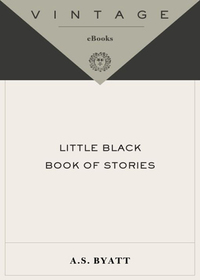 Cover image: Little Black Book of Stories 9781400075607