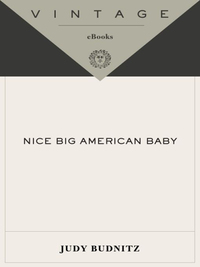 Cover image: Nice Big American Baby 9780375726866