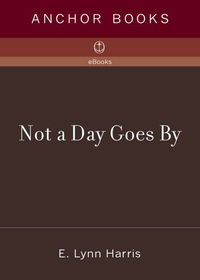 Cover image: Not a Day Goes By 9781400075782