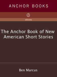 Cover image: The Anchor Book of New American Short Stories 9781400034826