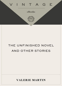 Cover image: The Unfinished Novel and Other Stories 9781400095506