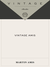 Cover image: Vintage Amis 9781400033997