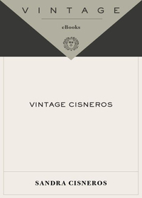 Cover image: Vintage Cisneros 9781400034055