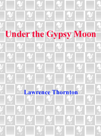 Cover image: Under the Gypsy Moon 9780553550016
