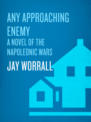 Cover image: Any Approaching Enemy 9781400063062