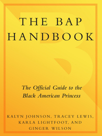Cover image: The BAP Handbook 9780767905503