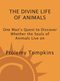 Cover image: The Divine Life of Animals 9780307451323