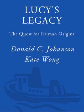Cover image: Lucy's Legacy 9780307396396