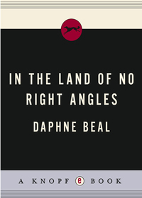 Cover image: In the Land of No Right Angles 9780307388063