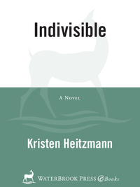 Cover image: Indivisible 9781400073092