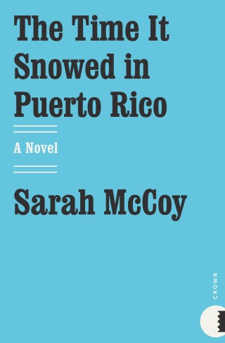 Cover image: The Time It Snowed in Puerto Rico 9780307460073