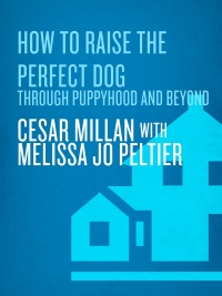 Cover image: How to Raise the Perfect Dog 9780307461292